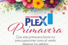 Blooming flowers spring sale 3d post design template